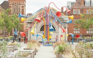 Ys Sonic Bloom Photo 1