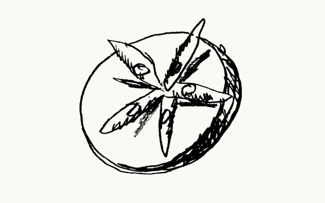 DJ Stout's sketch.