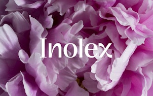 01 Inolex Pink Flower Logo Animation Copy