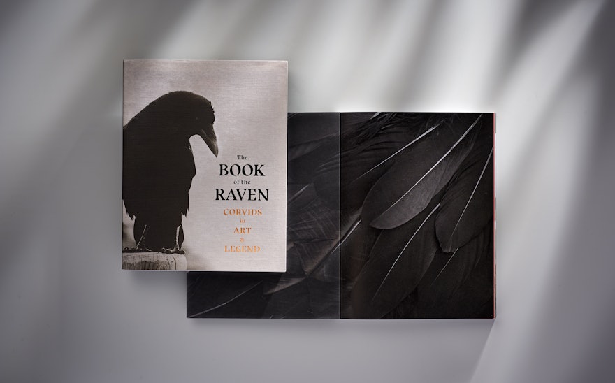 Ah Book Of The Raven 01