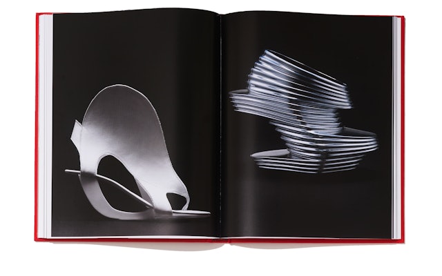 'Wings/Variation' by Tea Petrovic, 2013, left and 'NOVA' by Zaha Hadid X United Nude, 2013, right.