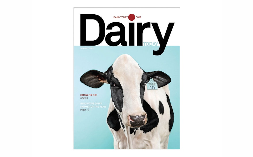 Djs Dairytoday 01