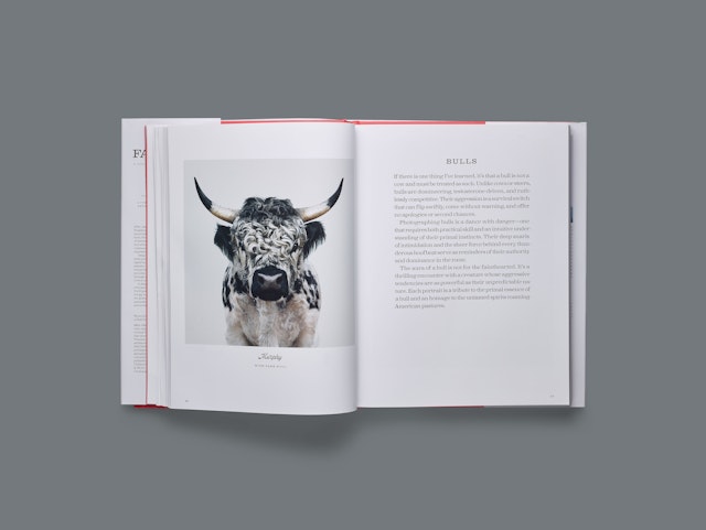 The book features insights by Ford on photographing different species.
