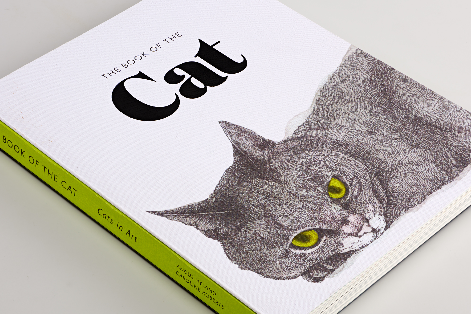 The Book of the Cat Story