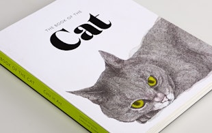 Ah Thebookofthecat 00