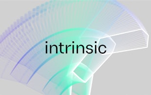 Intrinsic Casestudy 01