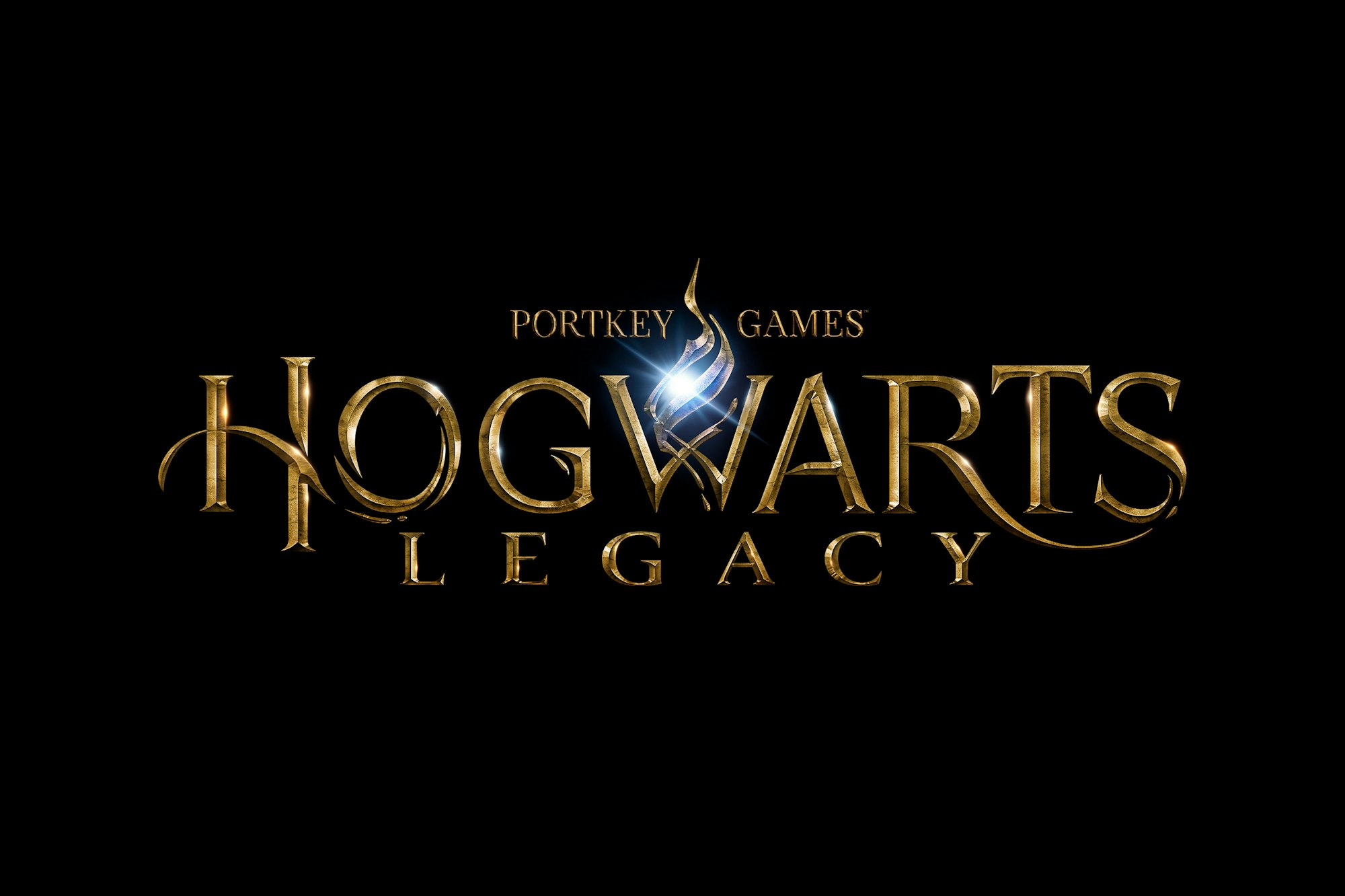 Harry potter legacy steam фото 66