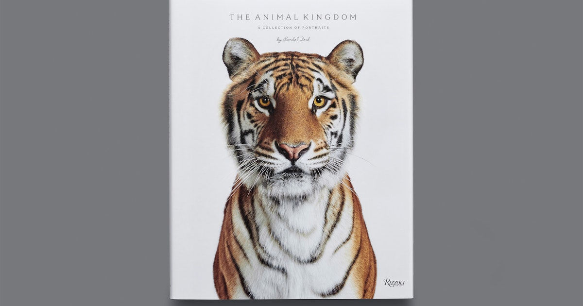 The Animal Kingdom'