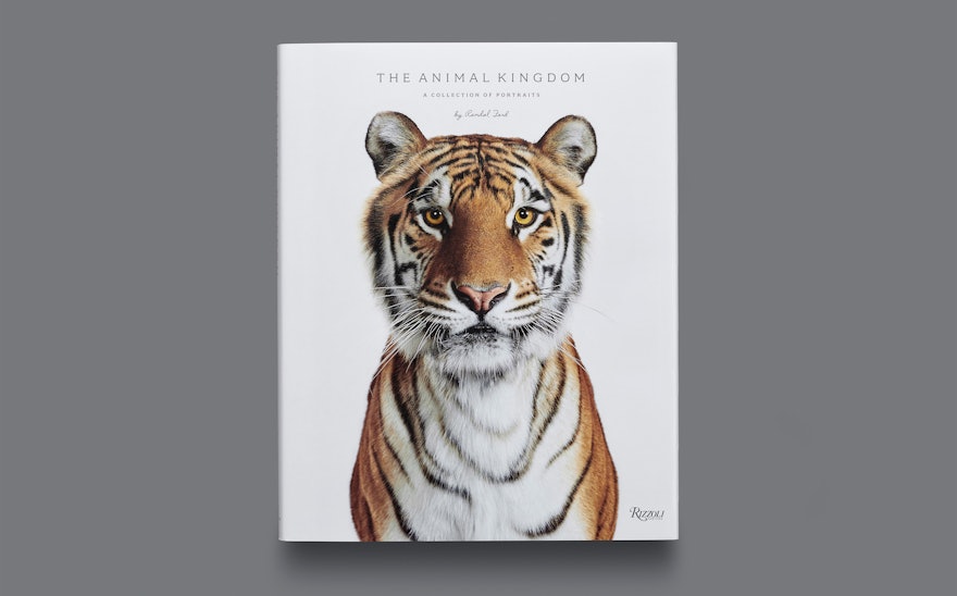 The Animal Kingdom' — Story
