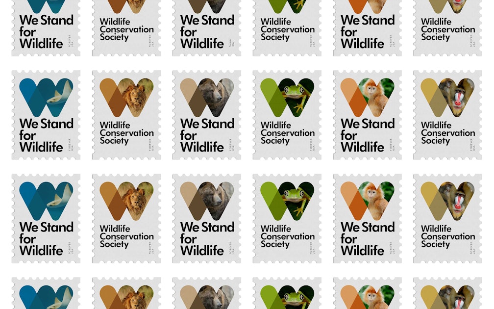 Wildlife conservation. Wildlife Society. Wildlife Conservation Organizations. Wildlife Conservation Society Listening answers.