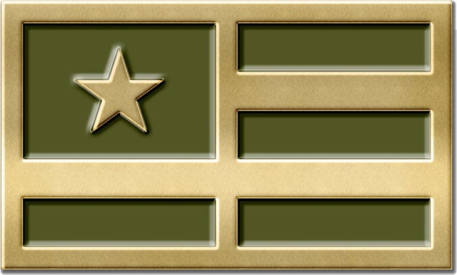 Metallic gold badges inspired by military medals worn on uniforms.