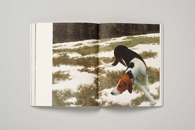 'Hound in Field' by Alex Colville