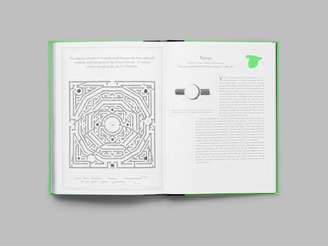 The Maze A Labyrinthine Compendium