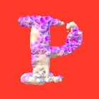 H P Hypha