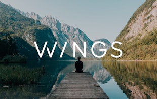 Ah Wings 01