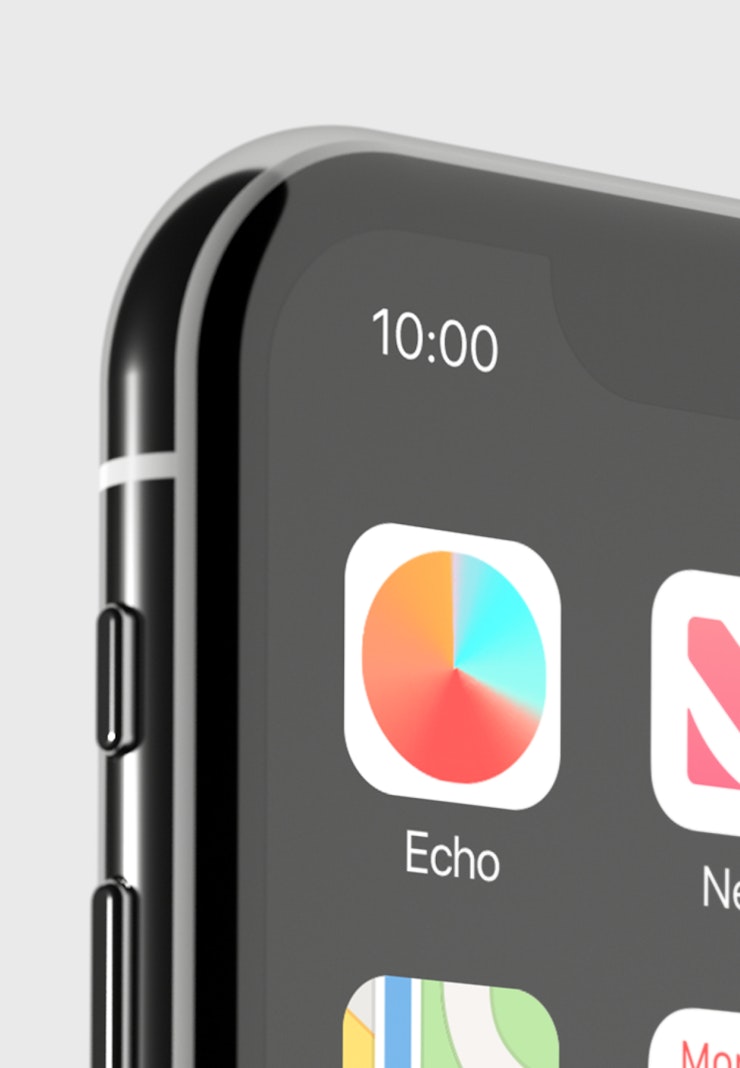 Echo vertical image 1