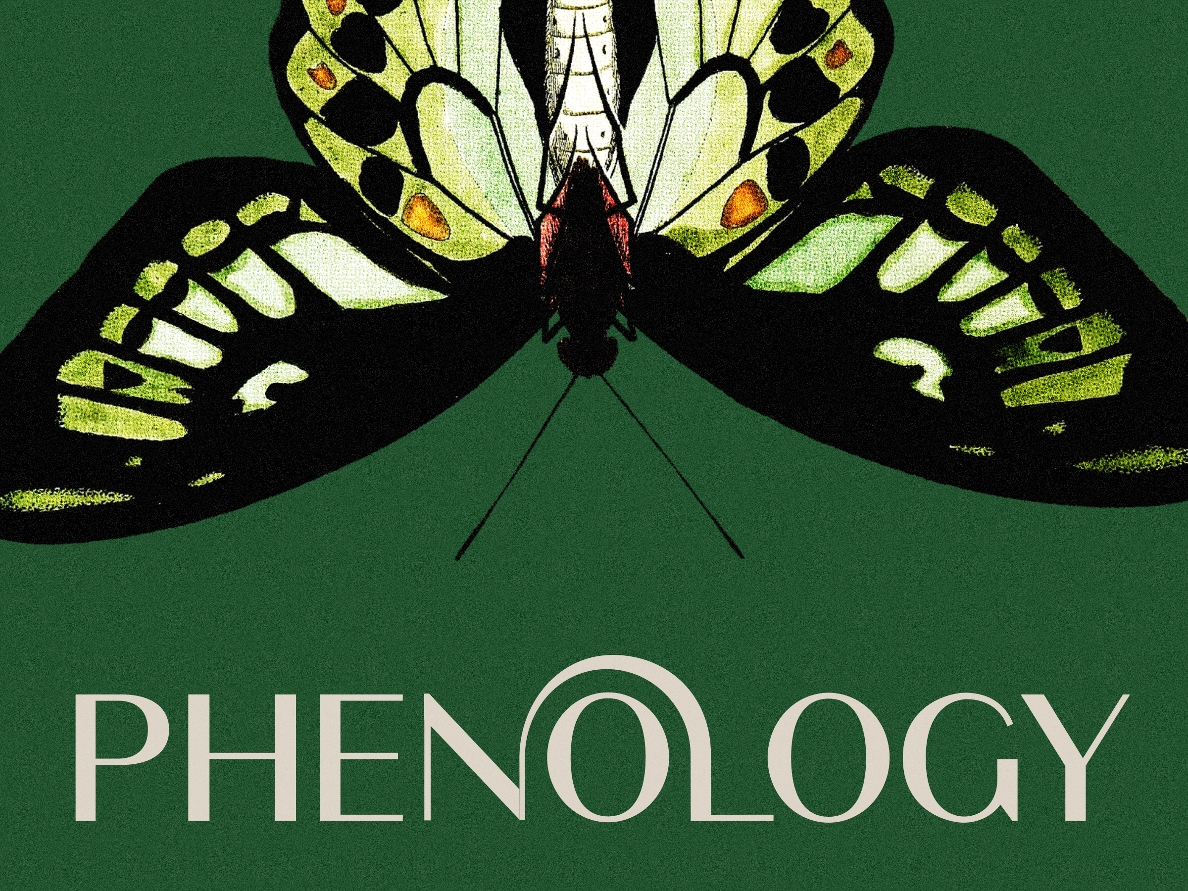 Phenology Thumbnail 3000x1870