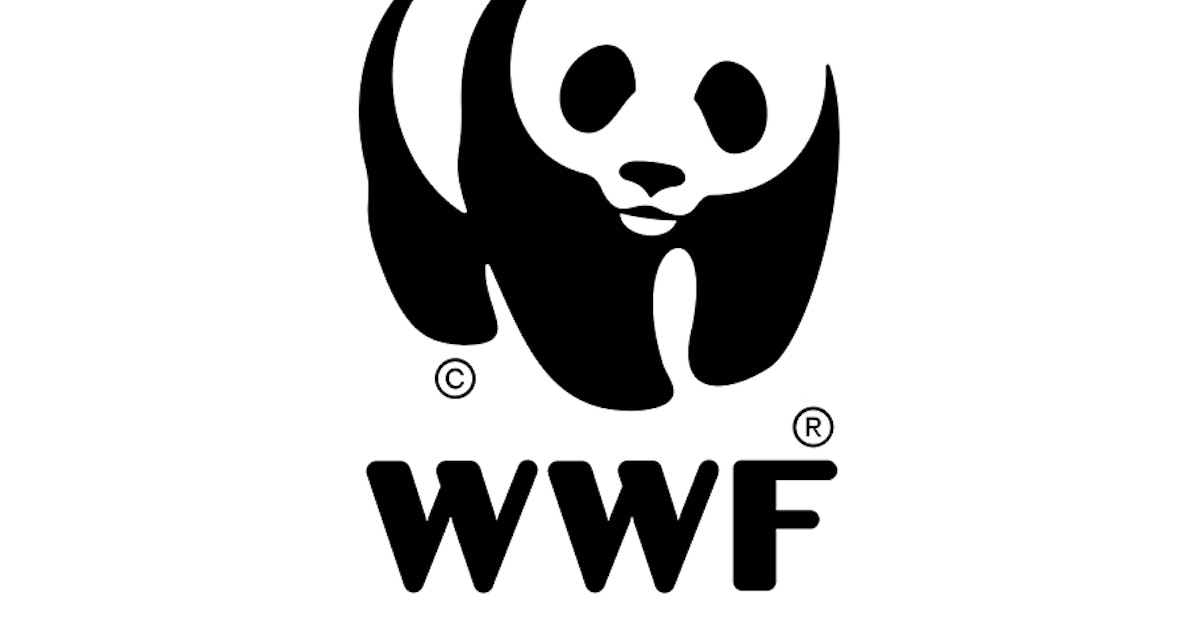 Angus Hyland writes about the WWF logo for Computer Arts