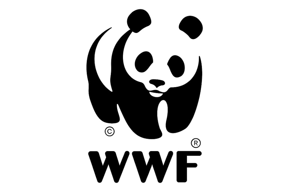 Angus Hyland writes about the WWF logo for Computer Arts