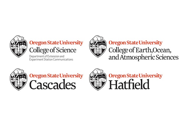 The new identity system uses the Roman typeface Newzald to unify the university’s colleges.